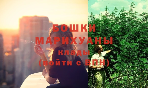 меф Ельня