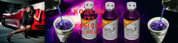 меф Ельня