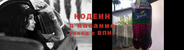 меф Ельня