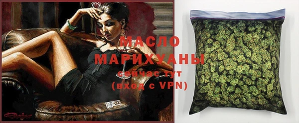 меф Ельня