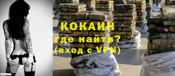 меф Ельня