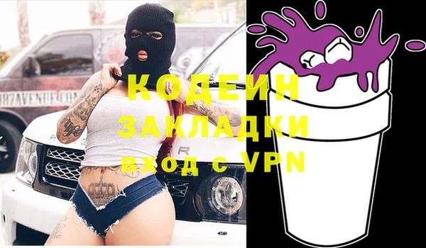 СК Елизово