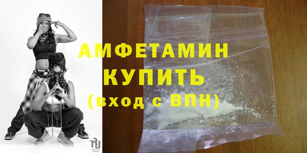 меф Ельня