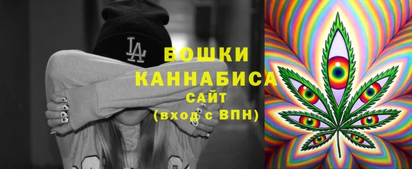 СК Елизово