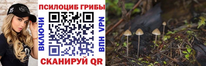 Галлюциногенные грибы мухоморы  даркнет сайт  кракен ONION  Иланский 